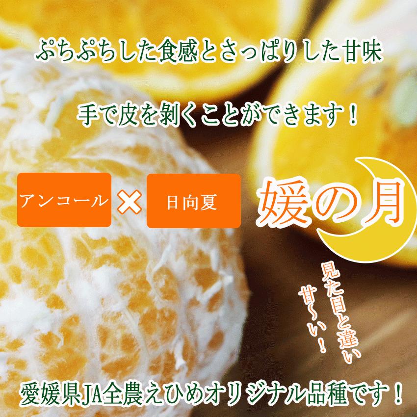 お試し価格 みかん 媛の月 家庭用 大きさお任せ 約5kg 簡易包装 愛媛県 媛之月 キズ スレあり ミカン 蜜柑 訳あり 送料無料 Whimenotuki5 01 岡山市場工房 通販 Yahoo ショッピング