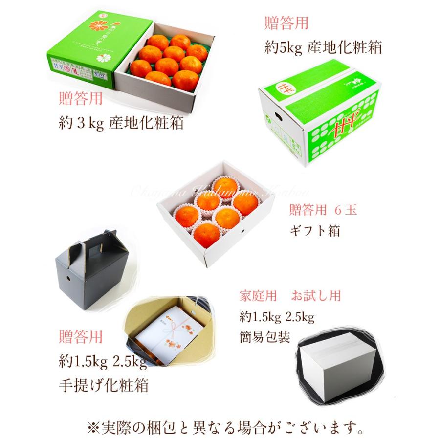 在雄SALE 甘平 （ かんぺい ） 訳あり 大きさお任せ 2.3kg 愛媛県産