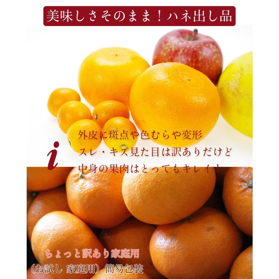 みかん 甘平 （ かんぺい ） 訳あり 〇等級 大きさお任せ 5kg 家庭用