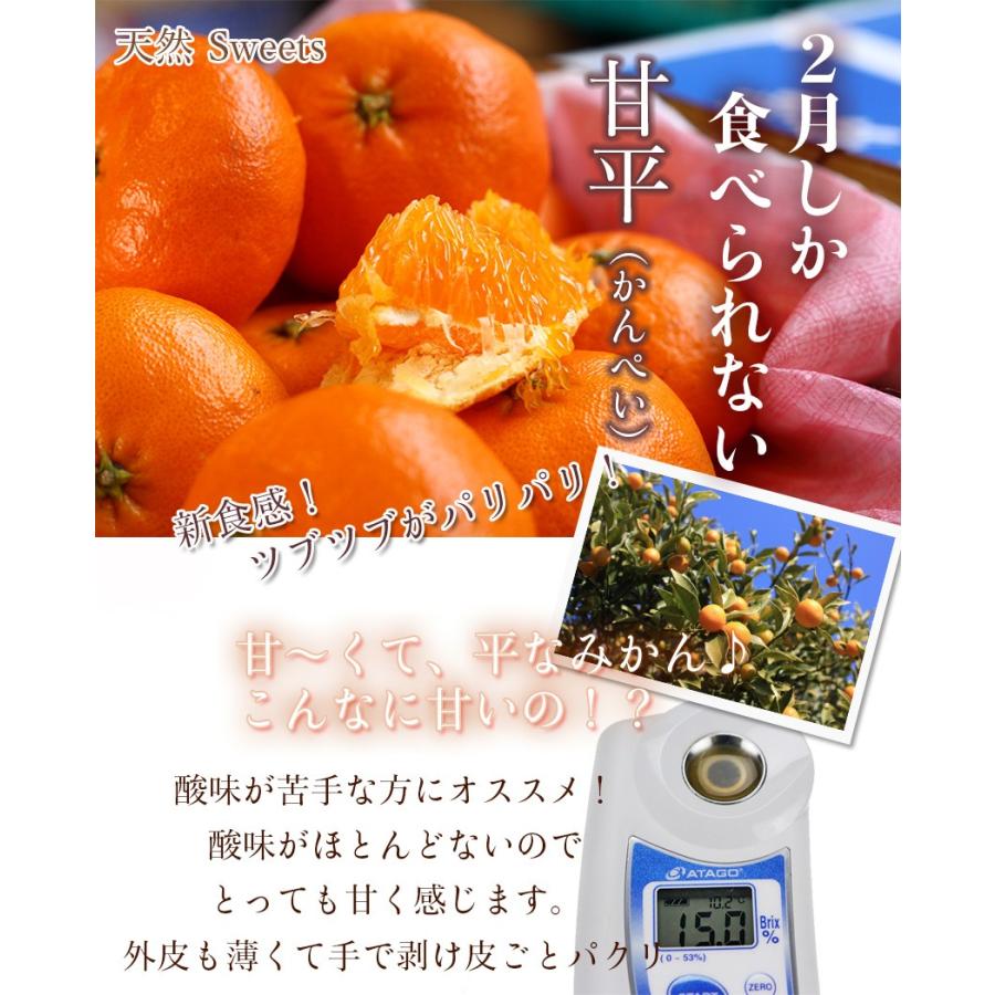 みかん 甘平 （ かんぺい ） 訳あり 〇等級 大きさお任せ 5kg 家庭用