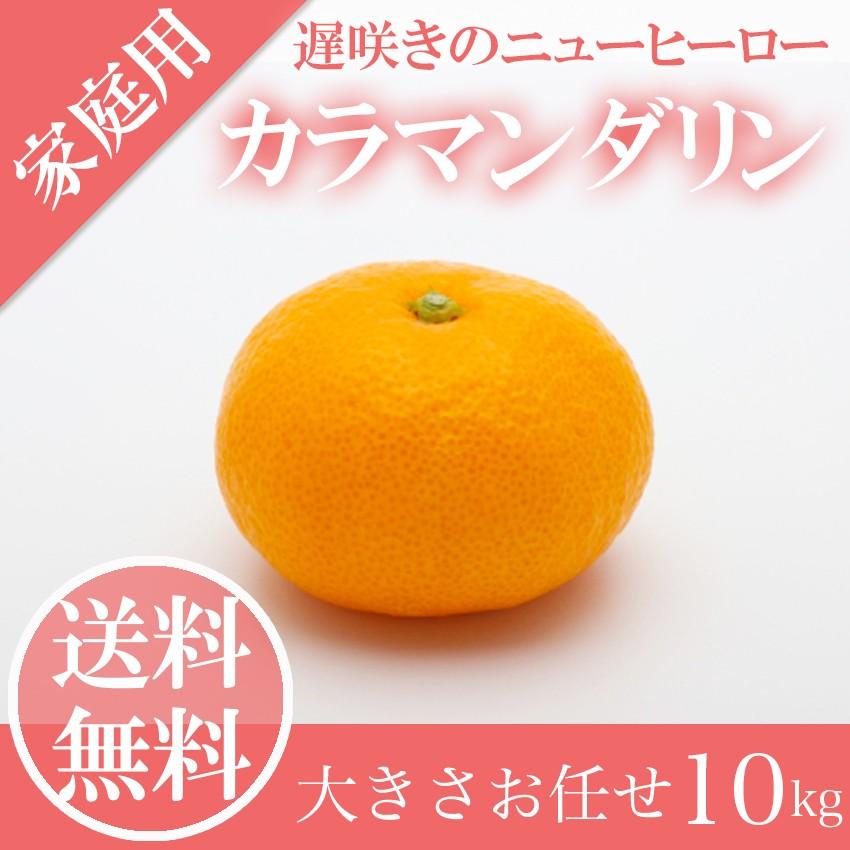 訳あり カラマンダリン 大きさお任せ 10kg ご家庭用 スレ・キズ・ヤケ