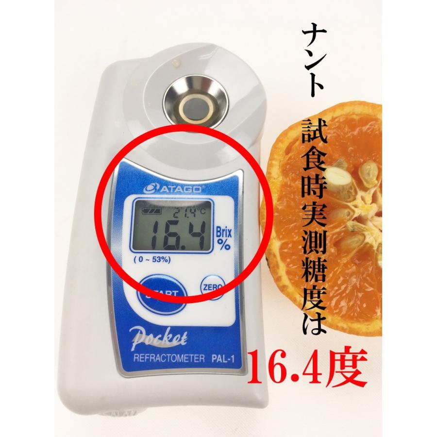 訳あり カラマンダリン 大きさお任せ 5kg ご家庭用 スレ・キズあり