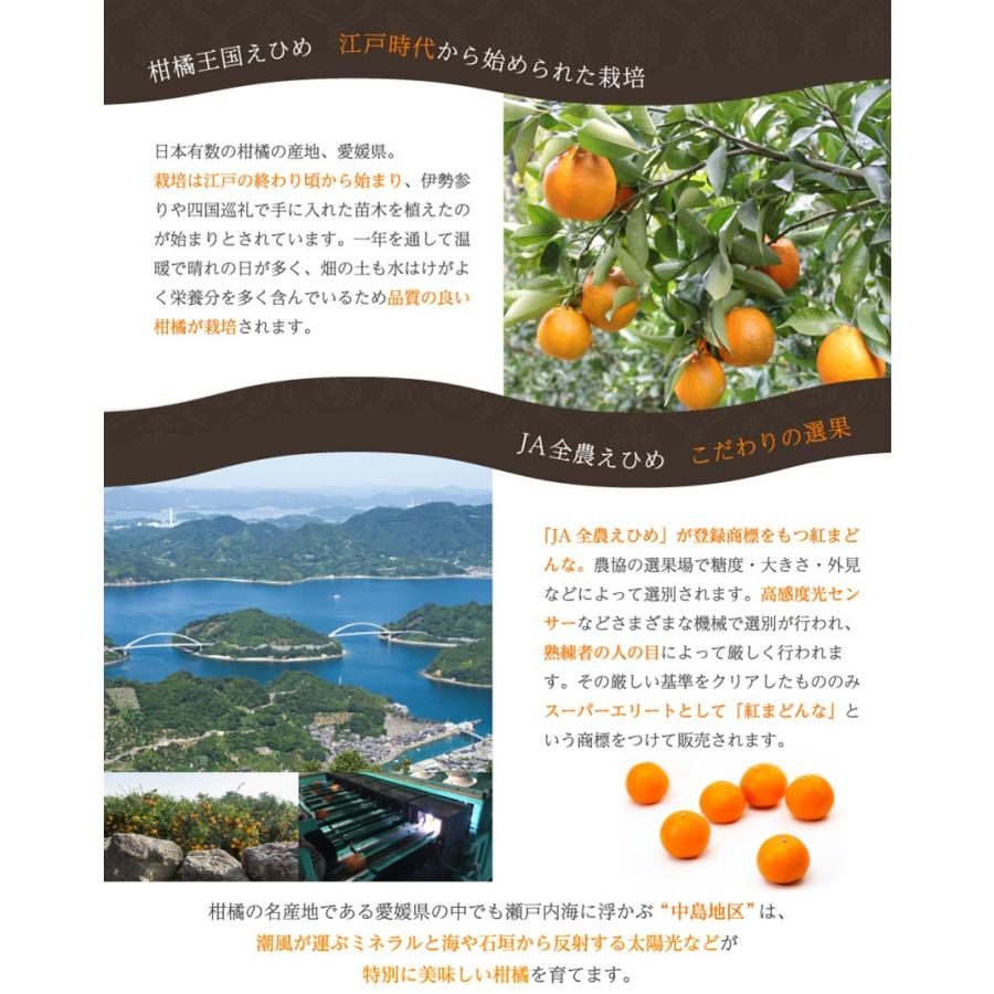 在庫SALE 訳あり 紅まどんな 家庭用 4.5kg ○等級 大きさお任せ 簡易