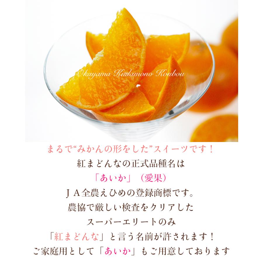 2023 訳あり あいか ( 紅まどんな 同品種) 2.5kg 家庭用 大きさお任せ 中島産 みかん ミカン 蜜柑 愛媛県産 紅マドンナ 果物 フルーツ｜ichiba-koubou｜02