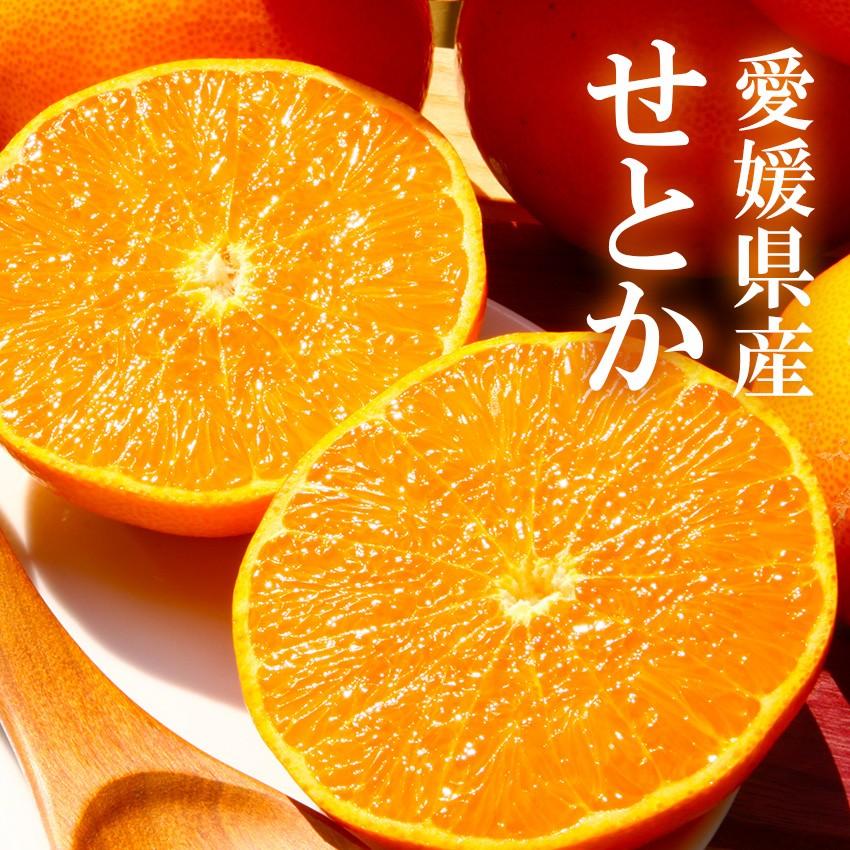 訳あり せとか 大きさお任せ 約10kg キズ・スレあり家庭用 簡易包装