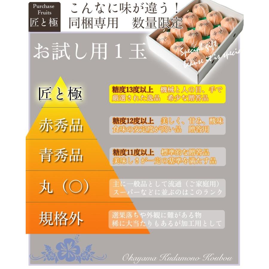 せとか ○等級 大きさお任せ 5kg 訳あり 家庭用 キズ・スレあり 愛媛県