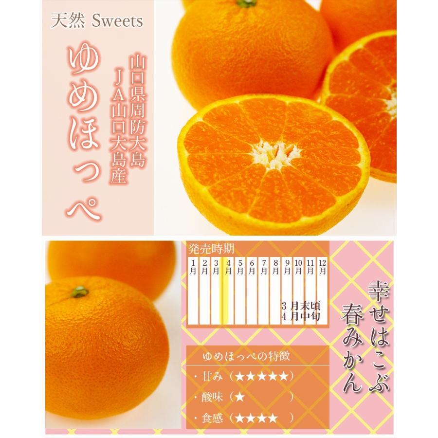みかん ゆめほっぺ 訳あり 約1.5kg 大きさおまかせ 簡易包装 みかん ゆめほっぺ 訳あり 約1.5kg 大きさおまかせ 簡易包装