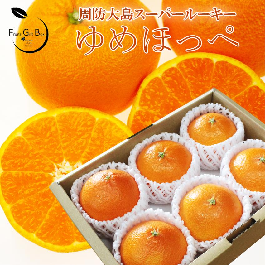 ゆめほっぺ （ せとみ ）秀品Lサイズ6玉 約1.2kg 山口県周防大島産