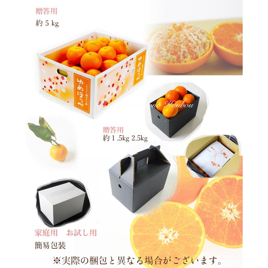 htm005様.予約専用.せとみ&夢ほっぺ蜜柑10kg(2L-L-Mサイズ) ゆめほっぺ （ せとみ ）秀品2Lサイズ6玉 山口県周防大島産 ギフト