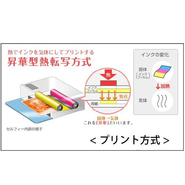Canon/キャノン セルフィー用 カラーインク/ペーパーセット『Lサイズ 