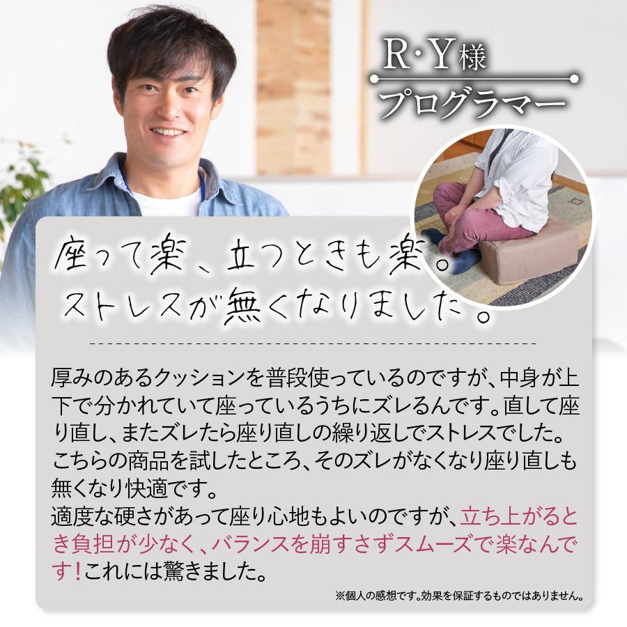 座布団 雲のやすらぎ クッション座布団 リモートワークに最適な極厚
