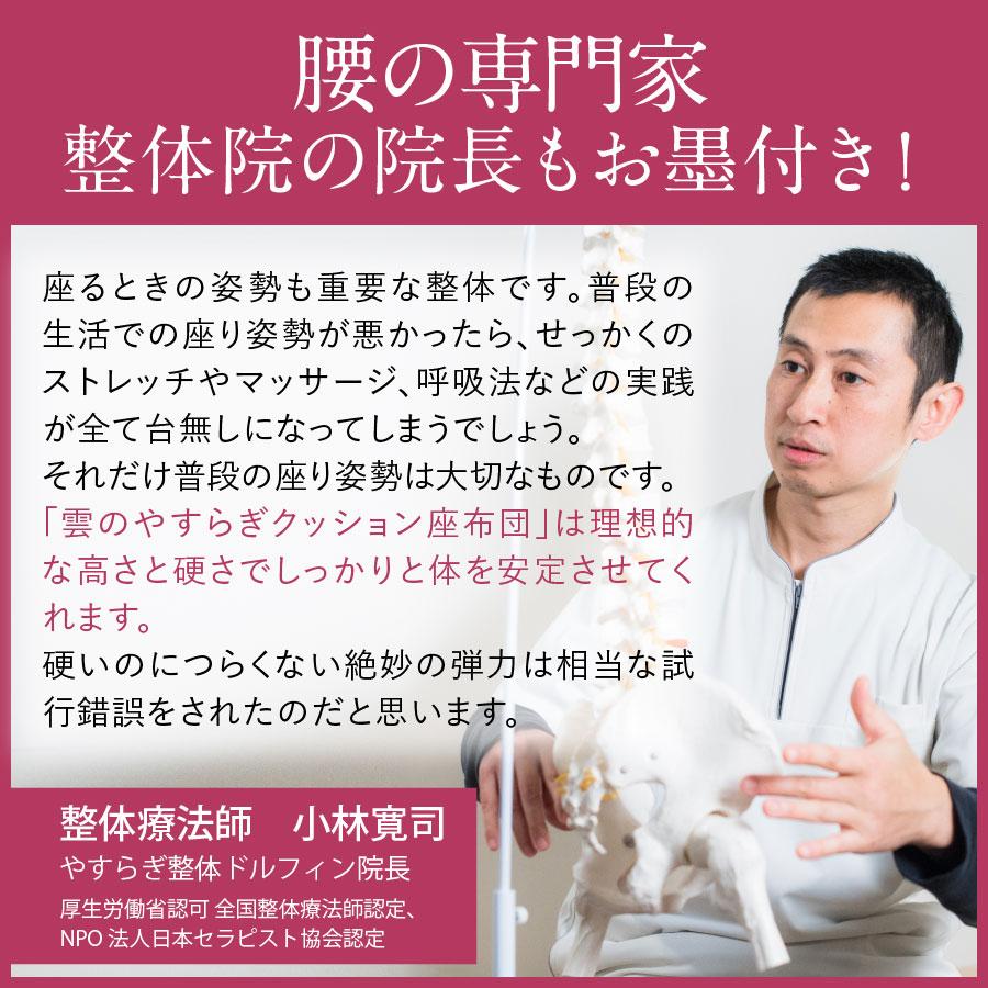 座布団 雲のやすらぎ クッション座布団 リモートワークに最適な極厚