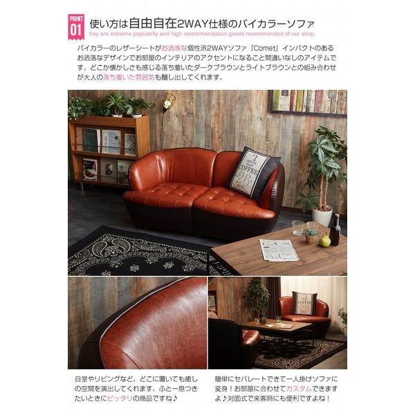 2WAY 2人掛けソファ イーナ 118005-BRブラウン 代引不可 同梱不可 : 壱