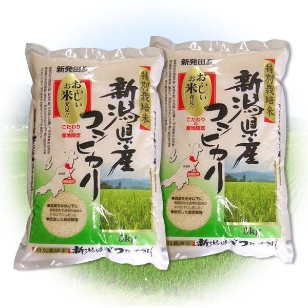 ふるさと名物商品 2020年度産 令和3年産 米 贈答に好評！ 特別栽培米 新潟県産コシヒカリ 10kg(5kg×2個) 代引不可 同梱不可｜ichibankan-premium