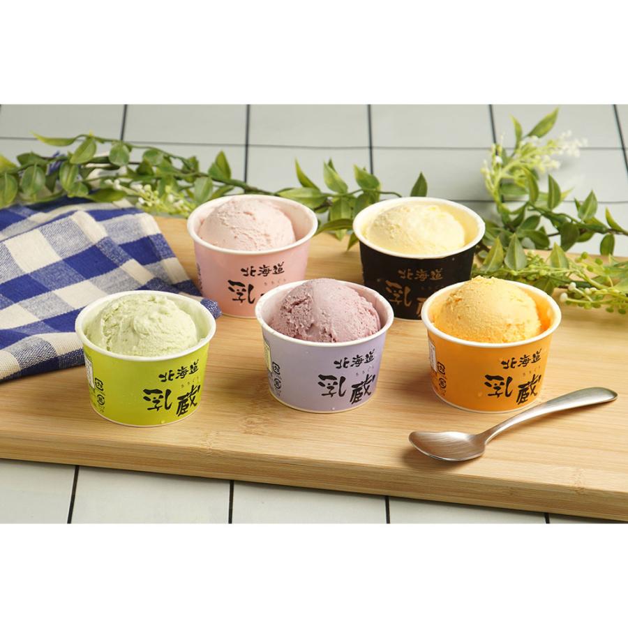 北海道アイスクリームプレミアムバニラ入り 乳蔵 110131 アイス あいす