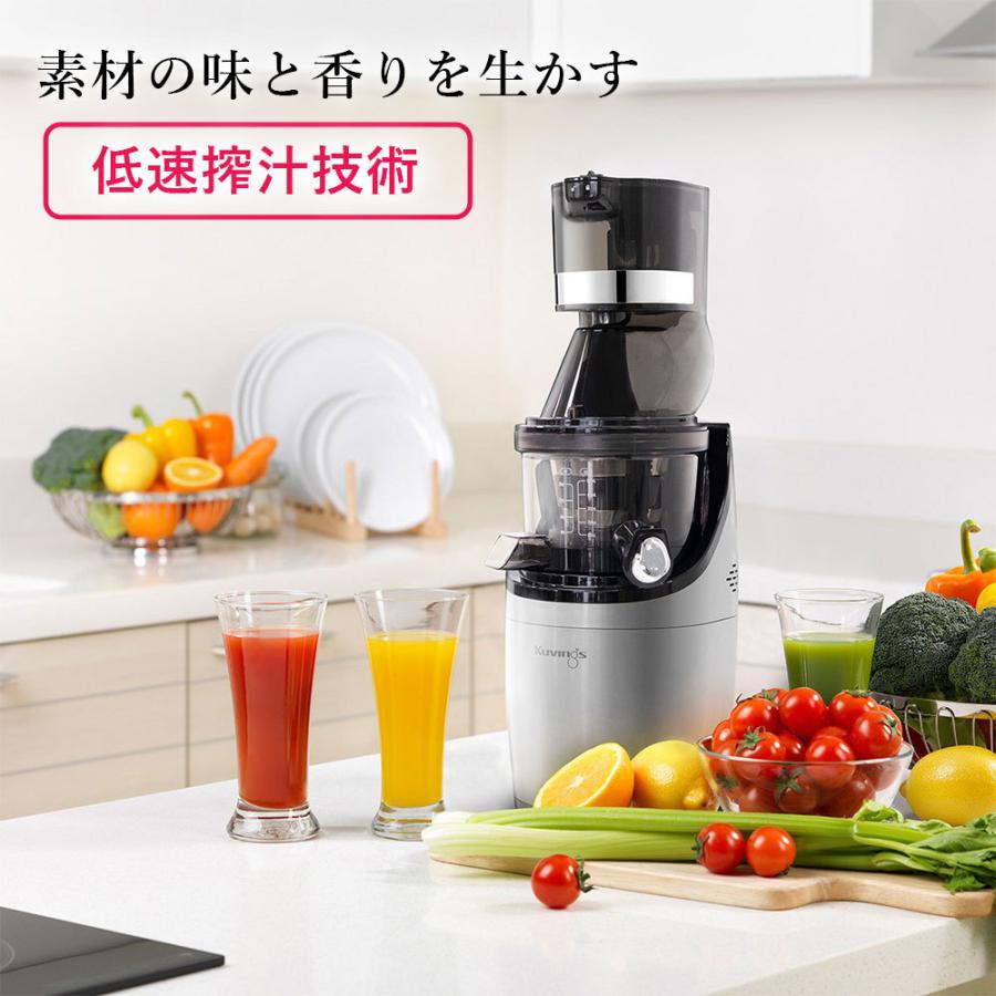 ホールスロージューサー プロ 業務用 500ml 大容量 スムージー