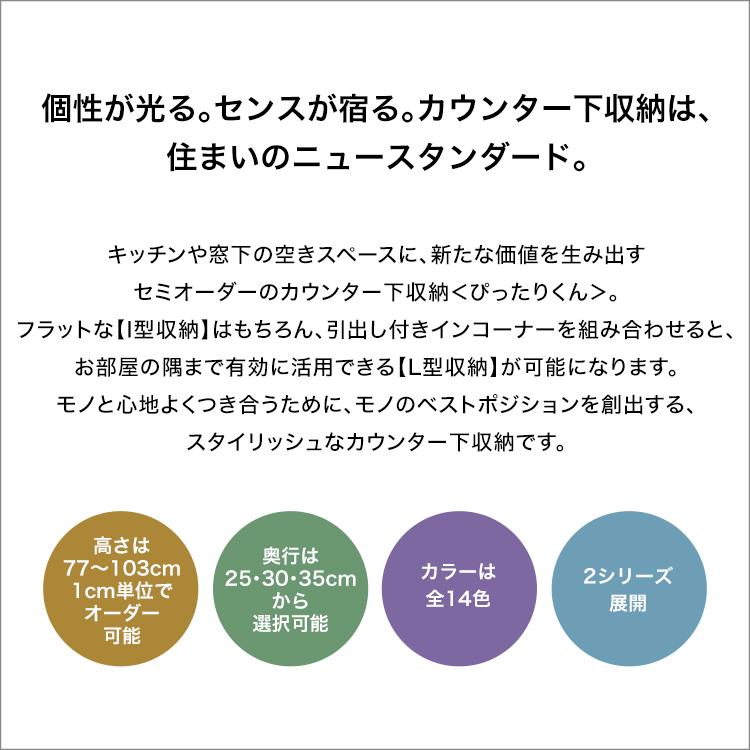 【引戸シリーズ】セミオーダーカウンター下収納ぴったりくん 引出し付きインコーナー左開き 奥行30cm_4