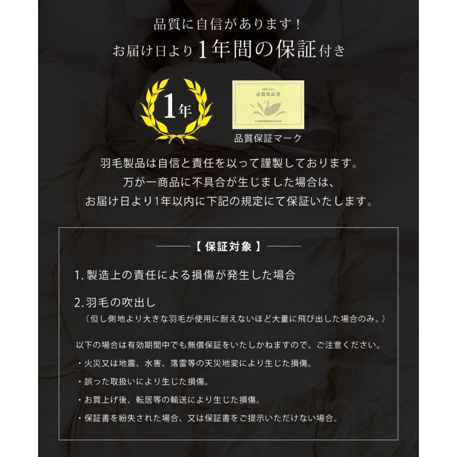 公式 羽毛布団 ホワイトマザーグースダウン 95% 増量1.5kg 440dp 安心の日本製 アレルG加工 秋冬用 無地 抗菌 防臭 セミダブル SunRuck サンルック A784DZの画像