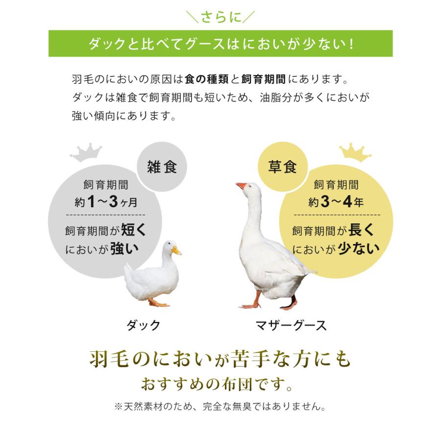 公式 羽毛布団 ホワイトマザーグースダウン 95% 増量1.5kg 440dp 安心の日本製 アレルG加工 秋冬用 無地 抗菌 防臭 セミダブル SunRuck サンルック A784DZの画像