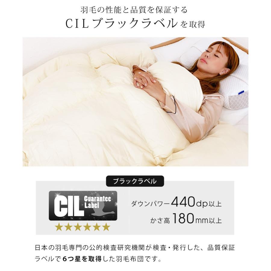 公式 羽毛布団 ホワイトマザーグースダウン 95% 増量1.5kg 440dp 安心の日本製 アレルG加工 秋冬用 無地 抗菌 防臭 セミダブル SunRuck サンルック A784DZの画像