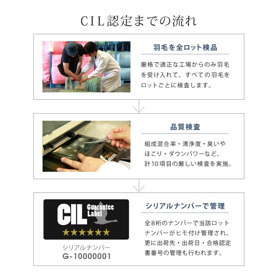 公式 羽毛布団 ホワイトマザーグースダウン 95% 増量1.3kg 440dp 安心の日本製 アレルG加工 秋冬用 無地 抗菌 防臭 シングル SunRuck サンルック A784SZの画像