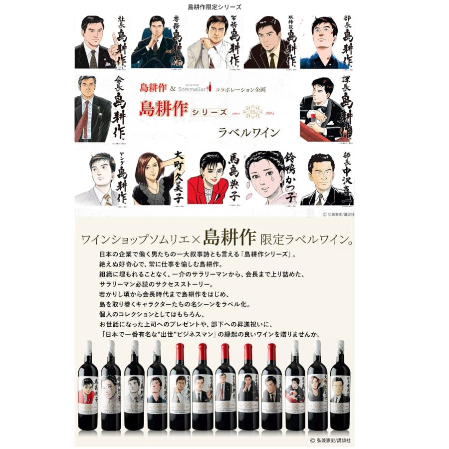 赤ワイン 750ml 島耕作限定シリーズ 部長・島耕作 ラベルワイン（コラゾン・デル・インディオ） VINA MARTY ヴィニャ・マーティ 2199010002017 |  | 01