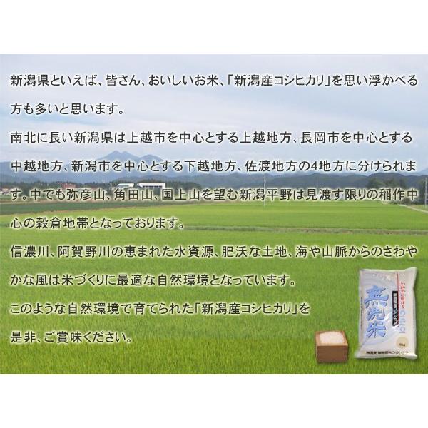 令和5年産 2023年度産 米 コシヒカリ 5kg ふるさと名物商品 無洗米 新潟県産 代引不可 同梱不可｜ichibankanshop｜02