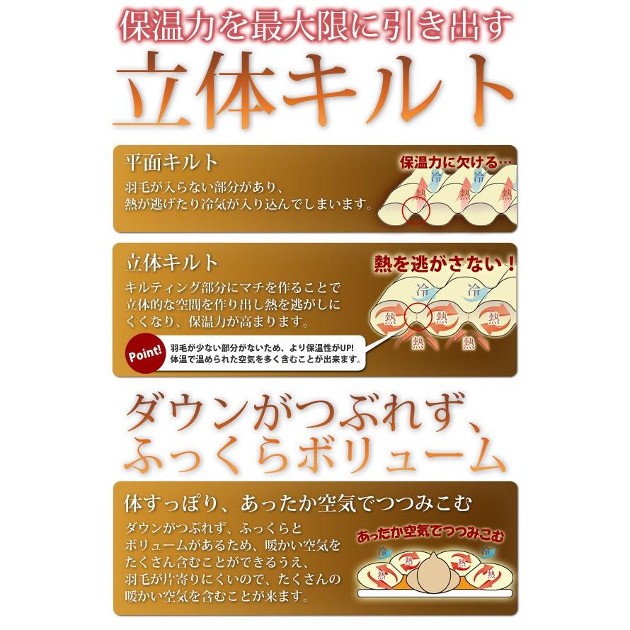 羽毛布団 （無地） ホワイトマザーグーススダウン95％ A759DZ セミダブル 新生活 代引不可 同梱不可の画像