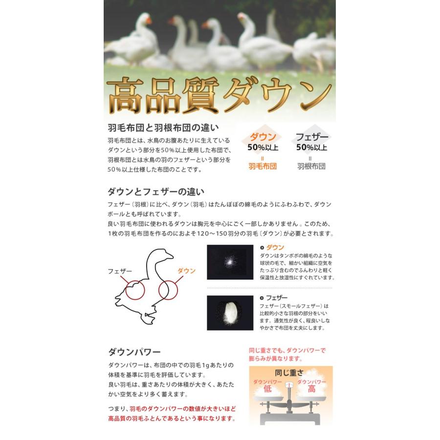 羽毛布団 ダウンケット 洗える 肌掛け布団 日本製 防ダニ 抗菌 消臭 春 夏用 ホワイトグースダウン 95％ A770DZ セミダブル 新生活 代引不可 同梱不可_3