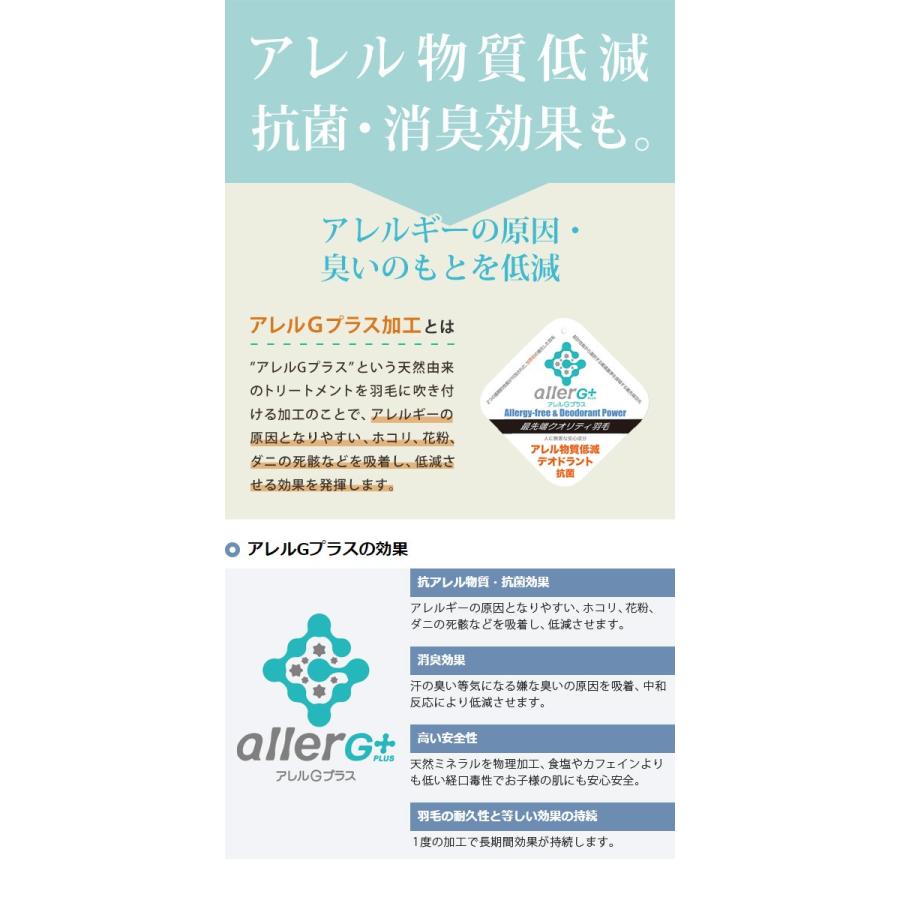 羽毛布団 ダウンケット 洗える 肌掛け布団 日本製 防ダニ 抗菌 消臭 春 夏用 ホワイトグースダウン 95％ A770DZ セミダブル 新生活 代引不可 同梱不可_5