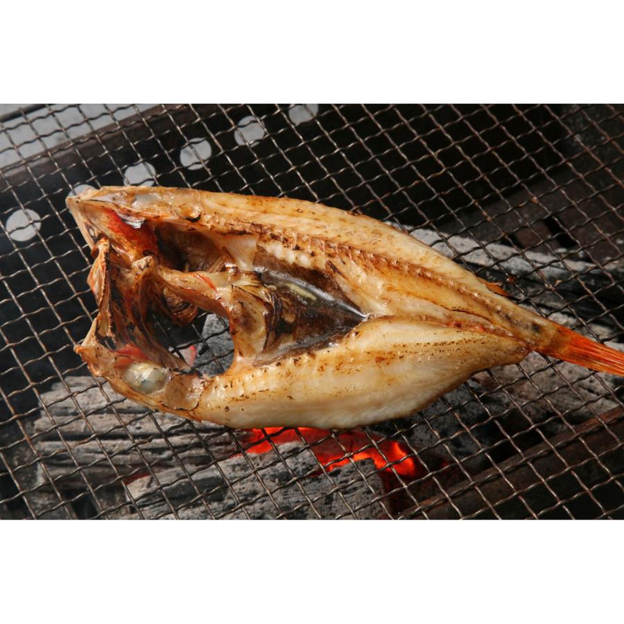 北海道産 訳ありキンキ開き 産直品 お土産 ギフト 網走水産 : 壱番館