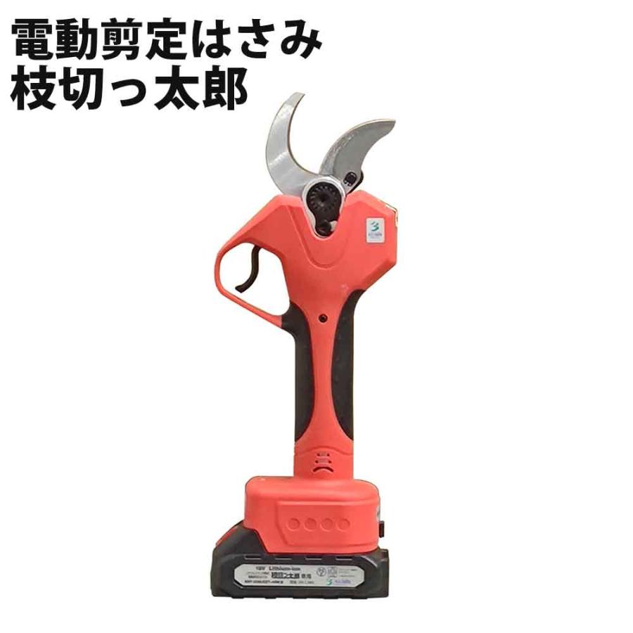 アルミス 電動剪定はさみ 枝切っ太郎 電動開閉 力要らずでスパッ アルミス 電動剪定はさみ 枝切っ太郎 電動開閉 力要らずでスパッ