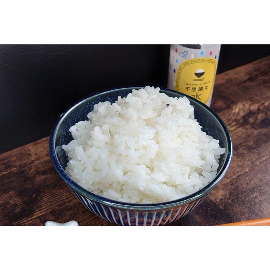 ふっくらツヤツヤごはんの達人 ふっくらツヤツヤごはんの達人
