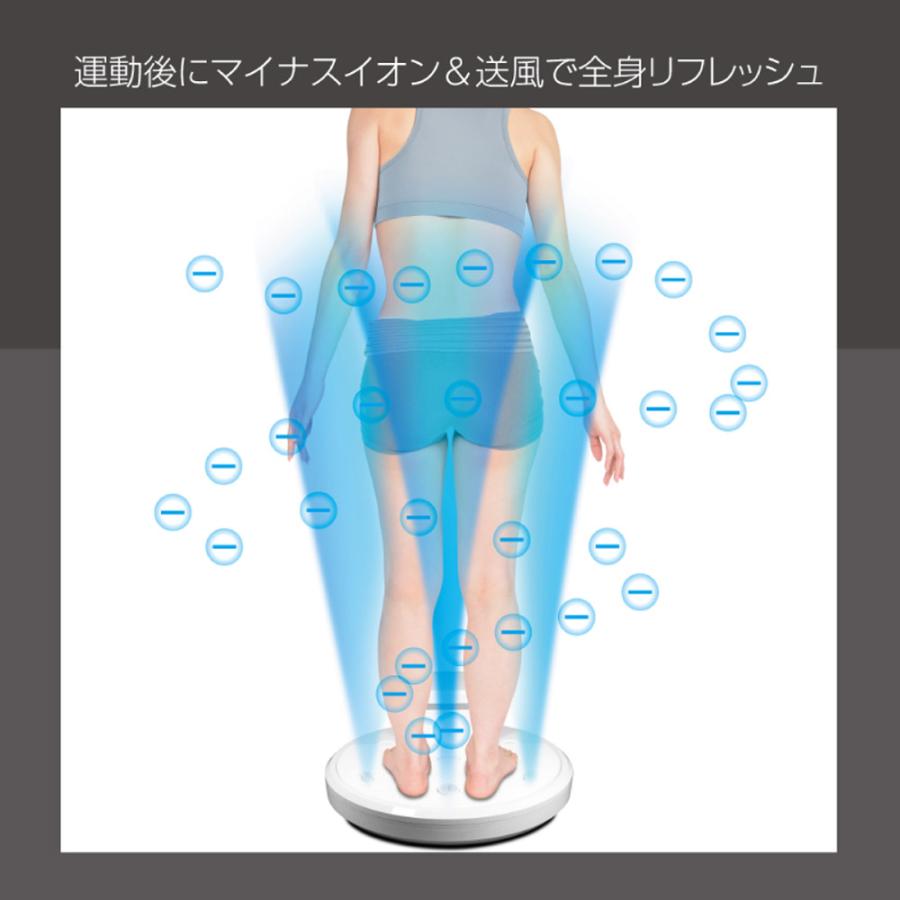 全身イオンドライヤー 乗れる扇風機 イオン ドライヤー ボディドライヤー 温風 送風 ヒロ・コーポレーション HTD-360｜ichibankanshop｜04