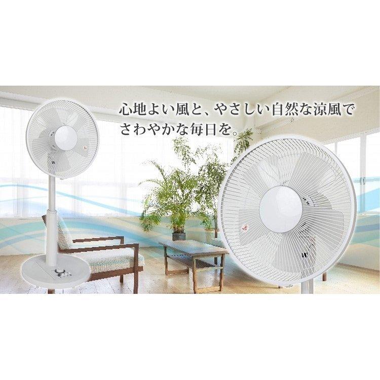 TEKNOS（テクノス） 扇風機 5枚羽根 30cm シンプル 安い 風量3段階
