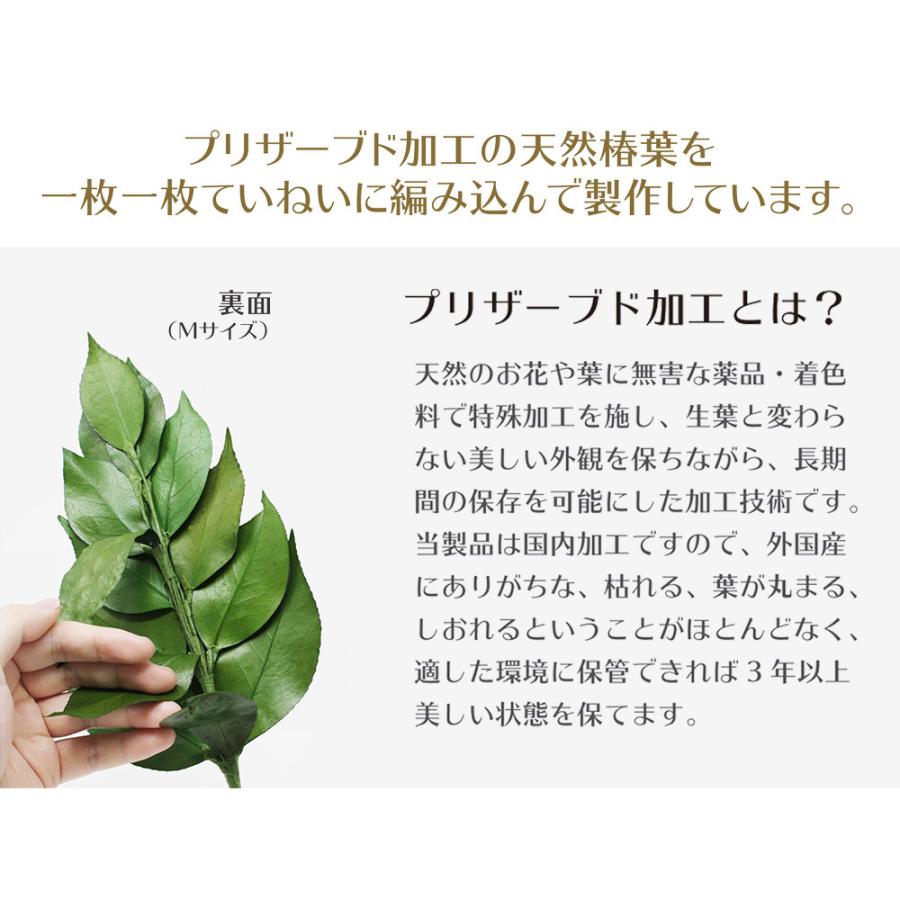 プリザーブド 荒神松 プレミアム 三宝松 Mサイズ(一束) 椿葉とみやこ松を特殊加工 長持ち 水不要 |  | 03