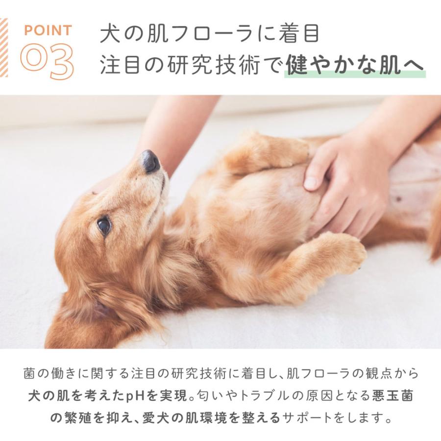 犬用シャンプー 日本製 獣医師・トリマー監修 無添加 低刺激 大容量 460ml 泡タイプ サロン用シャンプー The Mate Tokyo MATE-01｜ichibankanshop｜07