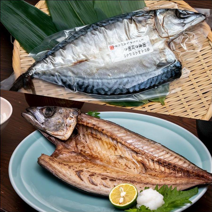 何でも揃う 魚 さかな 干物 辛子 明太子 アジ エイ サバ 珍味 セット お試し 美味しい Www Eccont Com Br