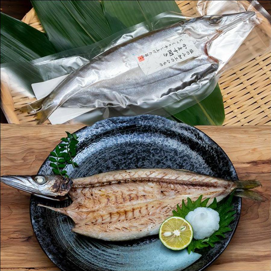 何でも揃う 魚 さかな 干物 辛子 明太子 アジ エイ サバ 珍味 セット お試し 美味しい Www Eccont Com Br
