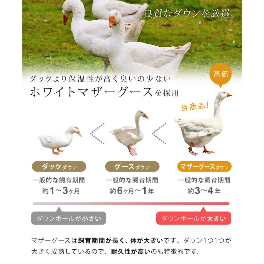 SunRuck 羽毛布団 シングル ホワイトマザー グース ダウン 95