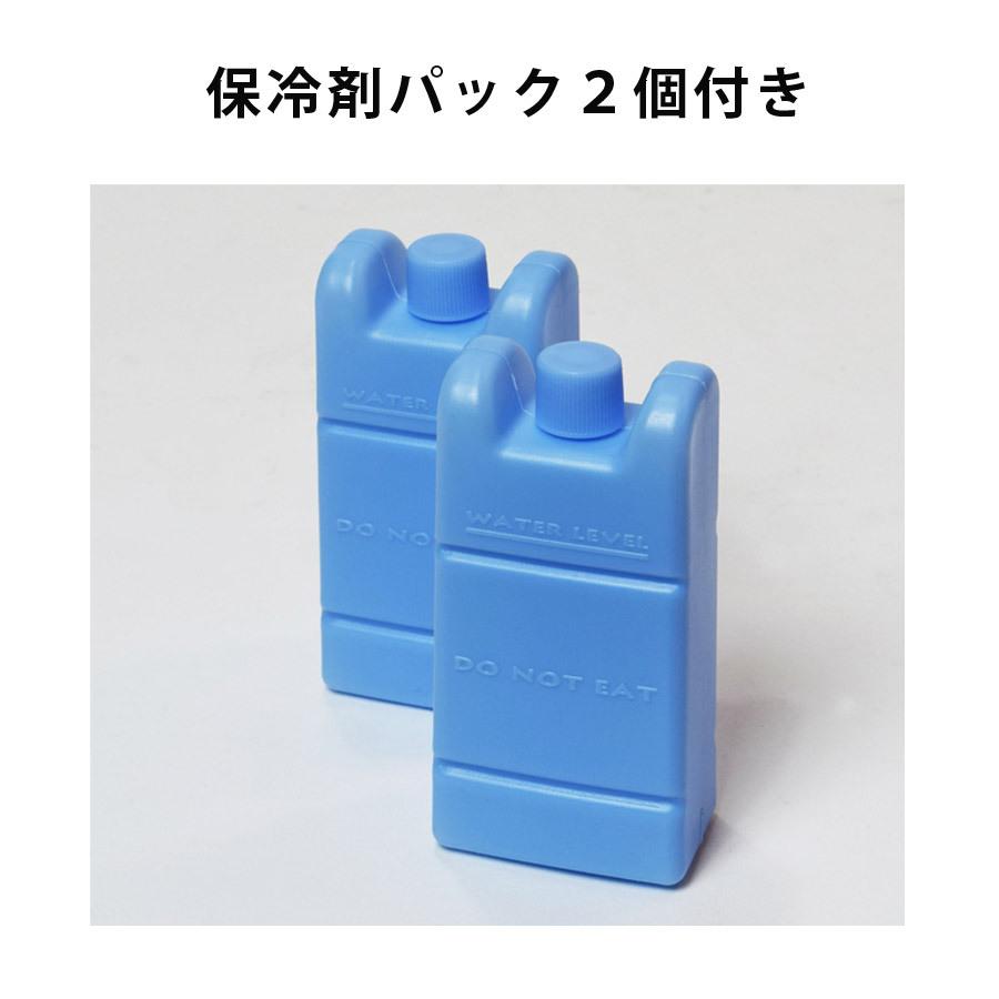 TEKNOS（テクノス） 冷風扇 冷風扇風機 ファン テクノイオン搭載