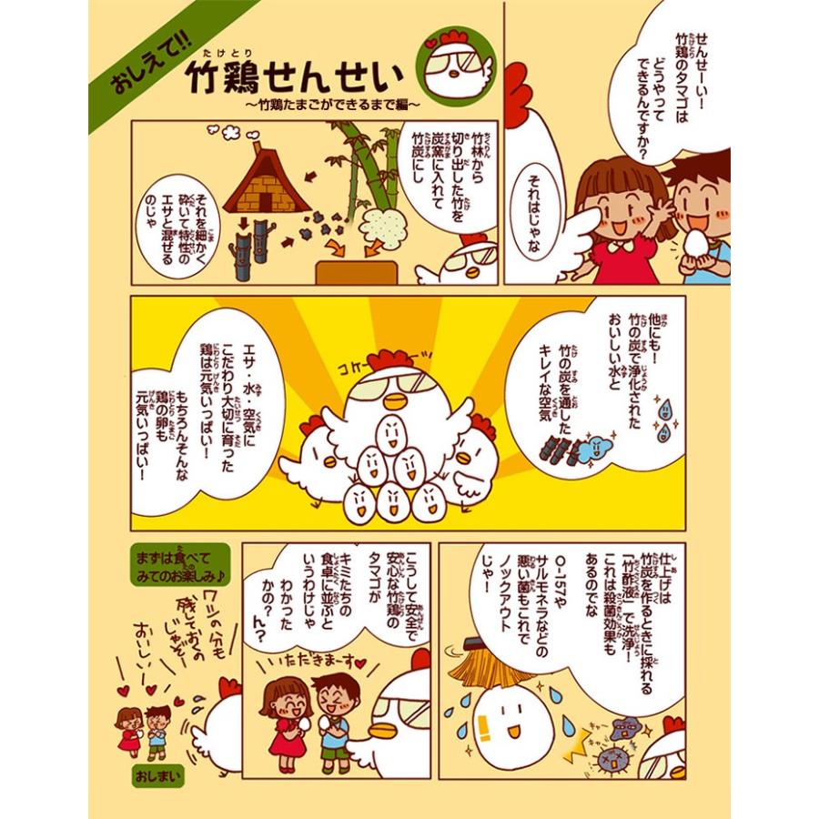 竹鶏たまご 白玉 10個入り3パック 竹鶏ファーム 卵 宮城県産 産地直送 代引不可 同梱不可 Ttf 02 3p 壱番館store Yahoo ショッピング店 通販 Yahoo ショッピング