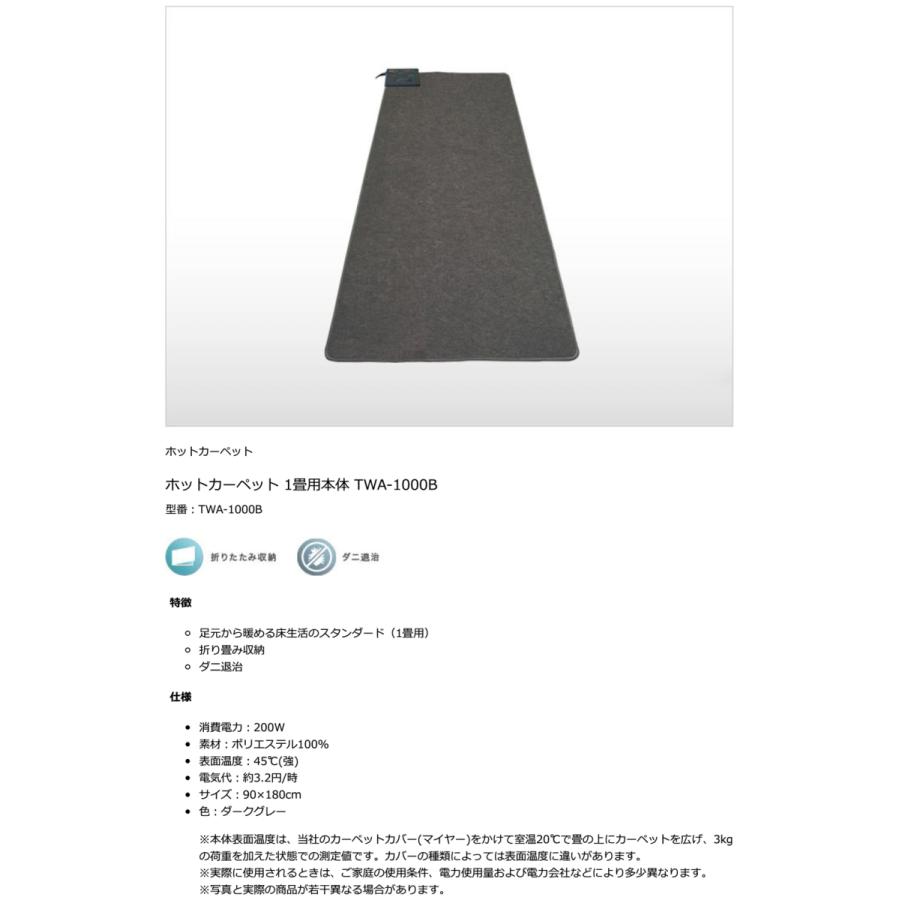 TEKNOS（テクノス） ホットカーペット 1畳 本体 電気カーペット 一人用