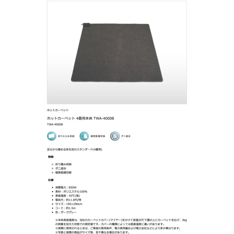 TEKNOS（テクノス） ホットカーペット 本体 4畳用 暖房面切替