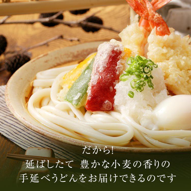送料無料 夏のお試しセット2 （約9人前） 備中 かも川 手延べうどん 手