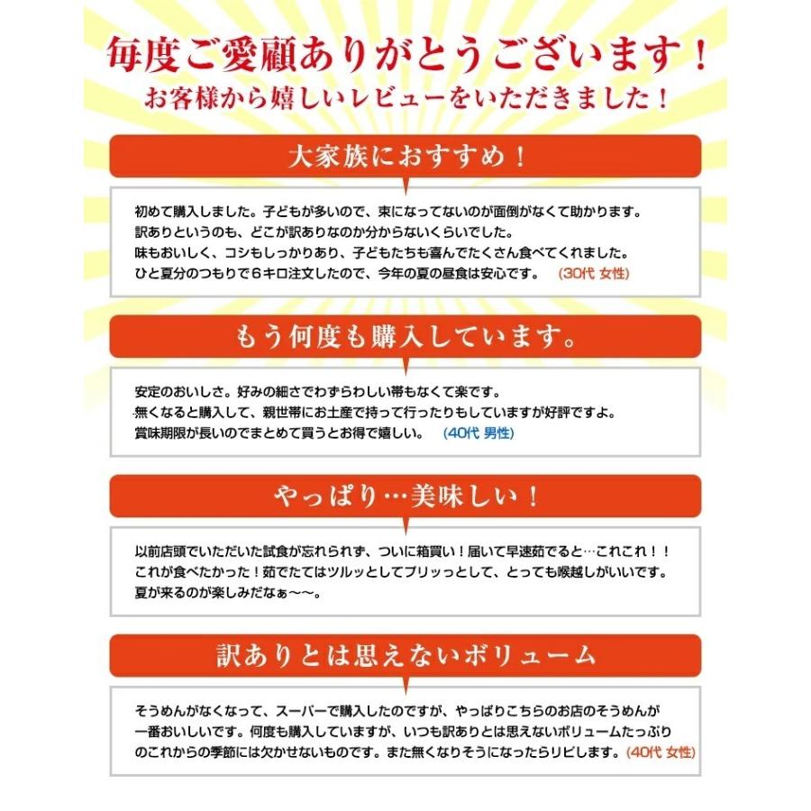 手延べそうめん 訳あり だけど本物のコシ！ 4kg 送料無料 素麺 乾麺 かも川 かも手の麺 かも手のそうめん ポイント消化 敬老の日 ギフト グルメ | ブランド登録なし | 02