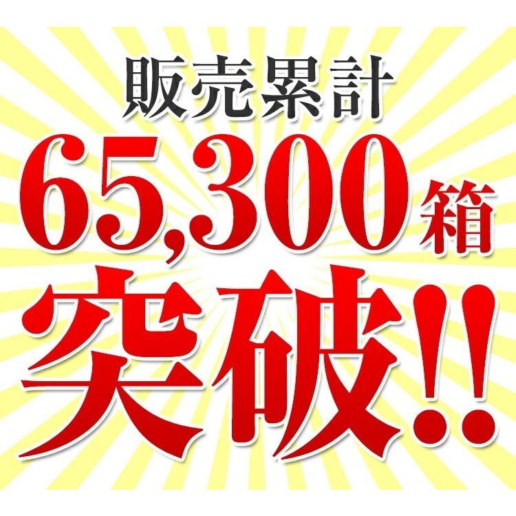 手延べそうめん 訳あり だけど本物のコシ！ 6kg 送料無料 素麺 乾麺 かも川 かも手の麺 かも手のそうめん ポイント消化 敬老の日 ギフト グルメ | ブランド登録なし | 01