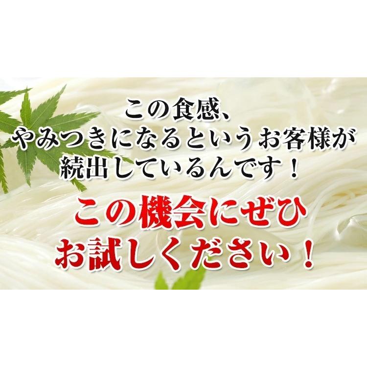手延べそうめん 訳あり だけど本物のコシ！ 6kg 送料無料 素麺 乾麺 かも川 かも手の麺 かも手のそうめん ポイント消化 敬老の日 ギフト グルメ | ブランド登録なし | 10