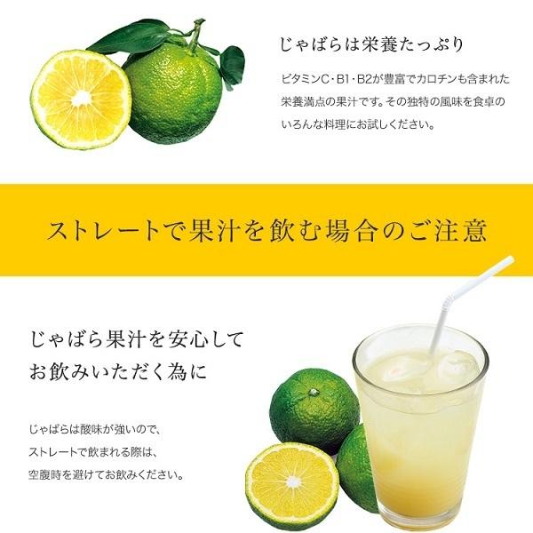 北山村じゃばら果汁 100ml じゃばら 花粉症対策 村外不出 幻の柑橘 和歌山 飛び地 天然果汁 無添加 人気 評判 健康 ナリルチン おみやげ処いちびり庵 通販 Yahoo ショッピング