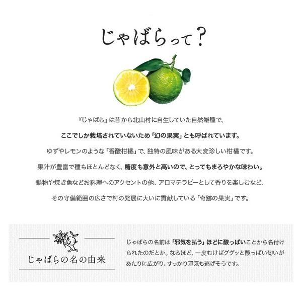 北山村じゃばら果汁 100ml じゃばら 花粉症対策 村外不出 幻の柑橘 和歌山 飛び地 天然果汁 無添加 人気 評判 健康 ナリルチン おみやげ処いちびり庵 通販 Yahoo ショッピング